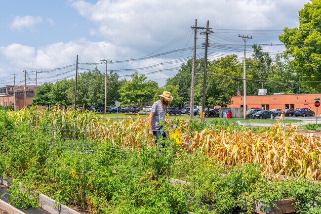 A farmer tends to Prosperity Gardens in Stratton.
