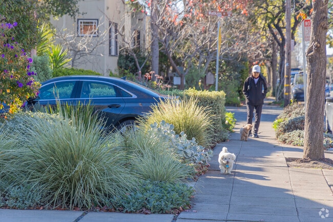 Albany Terrace's streets are very dog friendly.