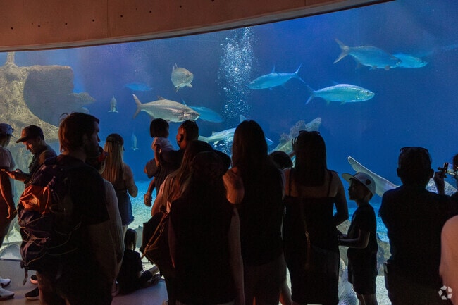 Sombra del Monte has so many amazing activities like the Albuquerque Aquarium.