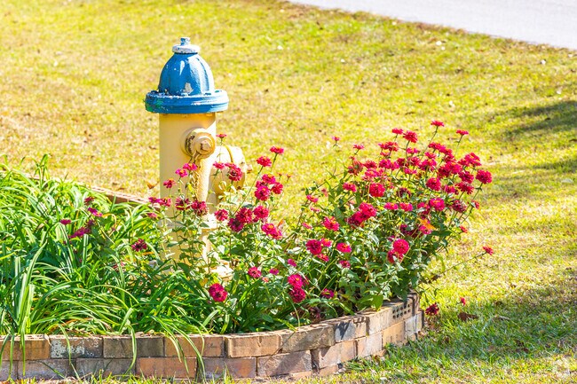 Baker yards often feature tended gardens and mature trees.