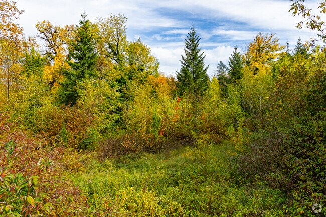 Take a break and reset on the Fanno Creek Greenway in Denney Whitford.