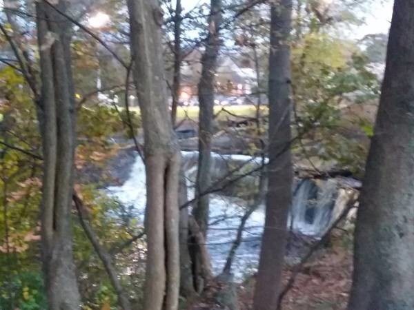 188 Colburn St unit 188, Dedham, MA 02026 - photo 2