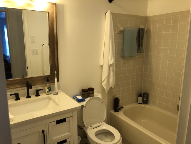 Hall Bathroom