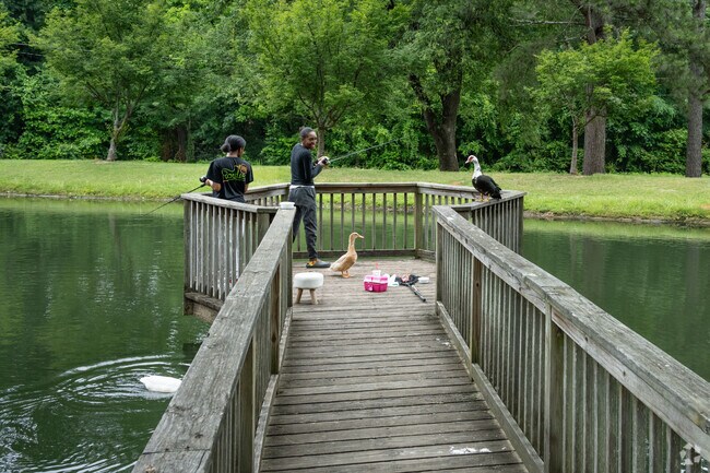 There is a small fishing pond near the Presbyterian College for students to enjoy.