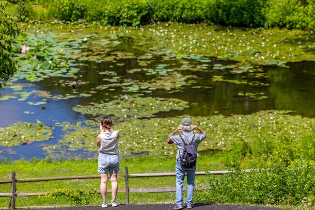 Look over a life filled pond surrounded by a natural oasis at Jenkins Arboretum in Chesterbrook.