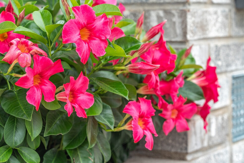 Neighborhoods_South_Normantown_V001_083023