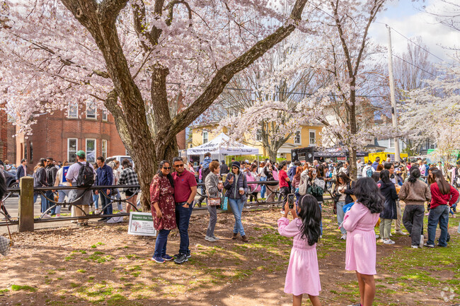 The annual Cherry Blossom Festival is a beloved community event in Wooster Square.