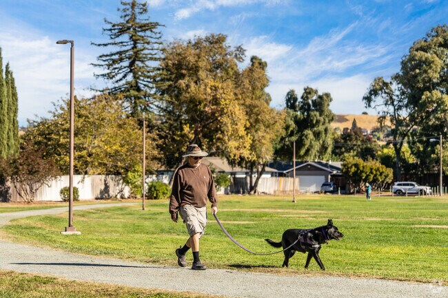 Enjoy nature and recreation at Ygnacio Valley Park, a tranquil retreat in Concord.