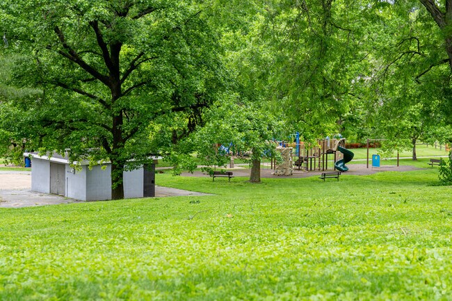 Enjoy the shade of the large mature trees at Tanglewood Park.