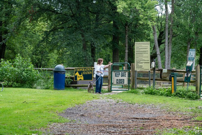 Let your dog run at Mosquito Lake State Park.