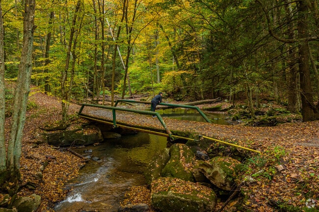 Rock Furnace Trail in Kiskiminetas leads to Jackson Falls, a beautiful woods oasis.