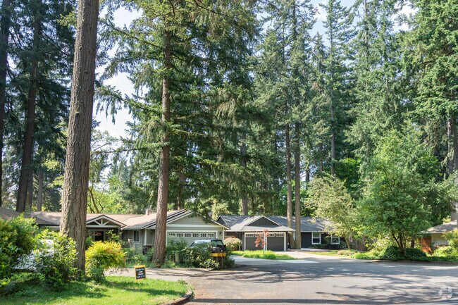 Ranch homes are dwarfed by the Douglas Fir trees in the Bryant Neighborhood.