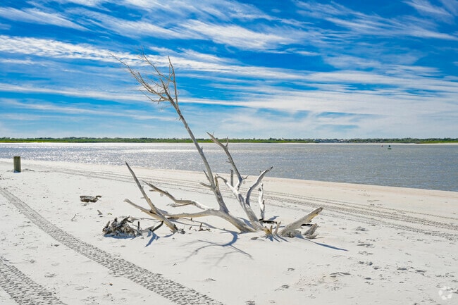 Smyrna Dunes Park offers stunning backdrops and great photo opportunities.
