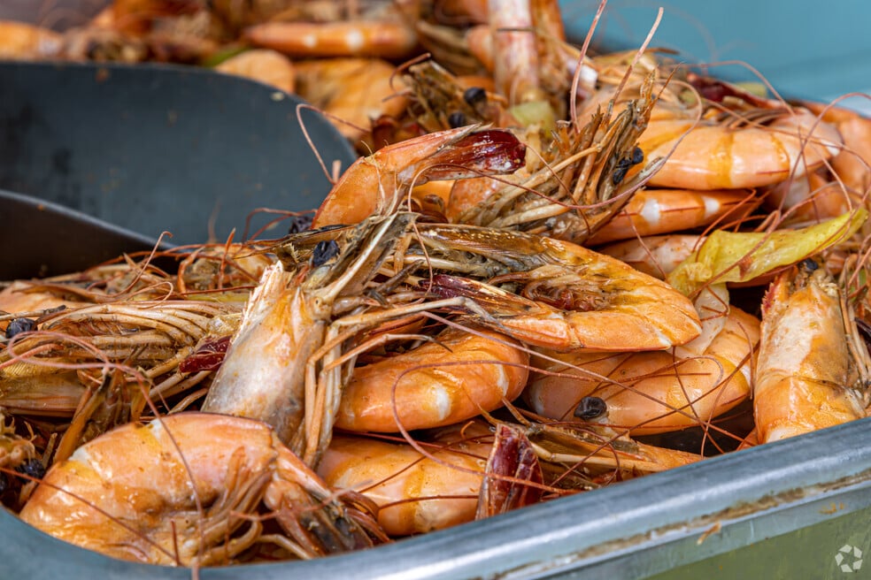 Pontchartrain Shores