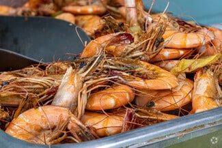 Pontchartrain Shores