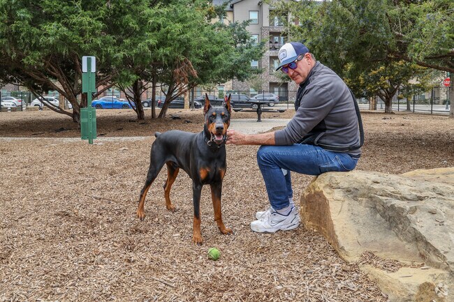 K9 Corral is one terrific place to bring your BIG friend for a bit of fun fetching the ball.