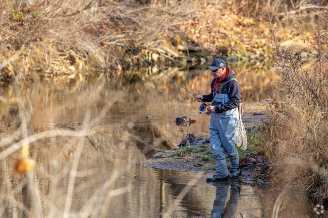 Walk the Chesterbrook Trail or hop off trail onto Valley Creek for fly fishing.