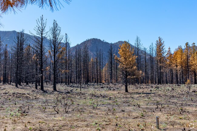 Nearby Dixie National Forest offers shaded trails near Pine Valley.