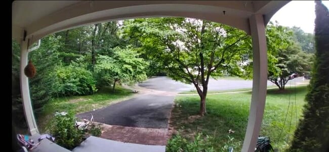 8499 Rainbow Bridge Ln, Springfield, VA 22153 - photo 5