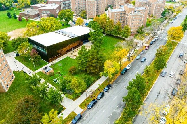 Williams Park welcome residents with dogs to run and play at Dearborn, IL.