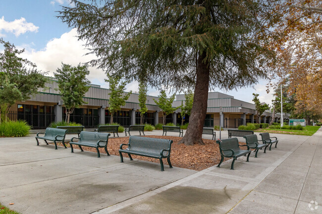 Pick up area at Muwekma Ohlone Middle in San Jose.