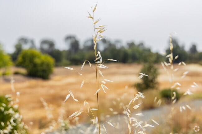 If you like nature walks, Midway is a place to consider.