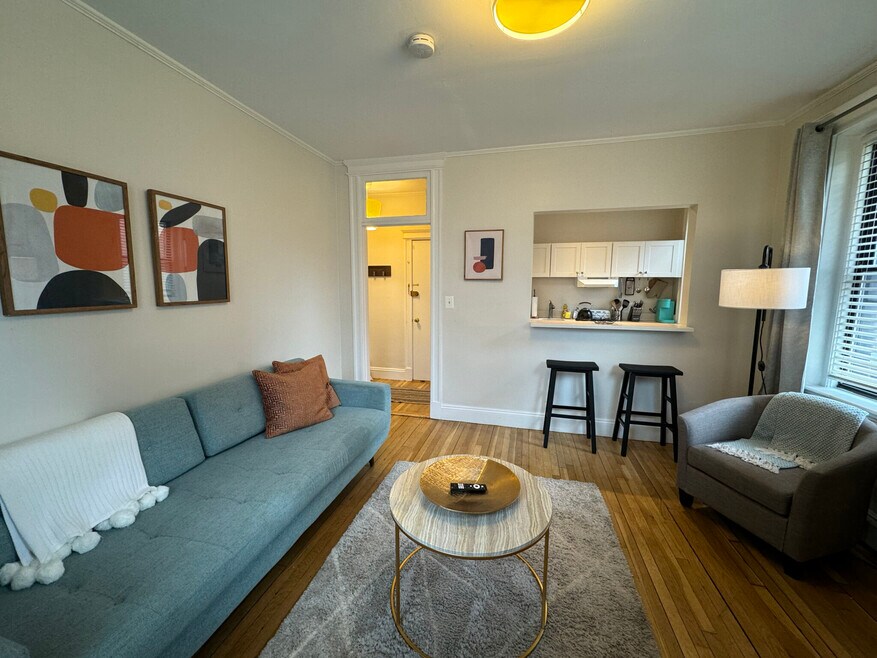 34 E Newton St unit 2, Boston, MA 02118 - photo 1