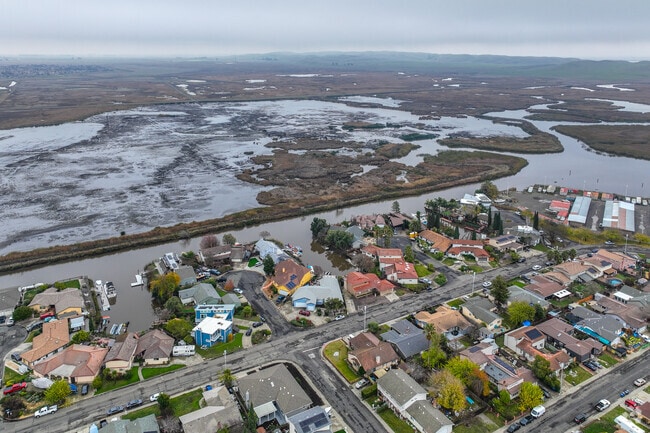 Fairfield sits near the biggest saltwater marsh in the western U.S.