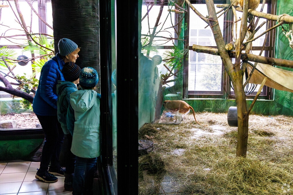 A woman talks to her children about the monkeys at Rosamond Gifford Zoo.