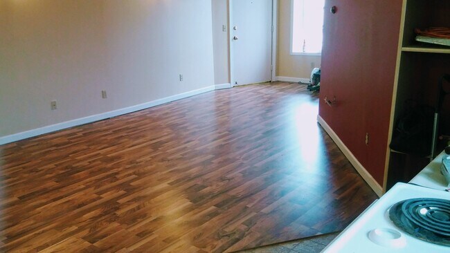 321 N Michigan Ave unit 2, Big Rapids, MI 49307 - photo 4