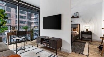 226 E Grand Ave, Chicago, IL 60611 - photo 3