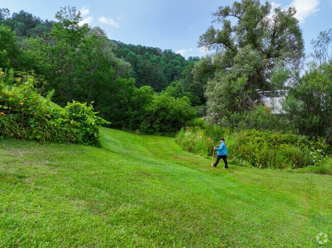 Tunbridge's lush forests are perfect for hikers and outdoorsmen alike.