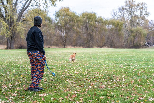 A woman plays fetch with her dog at Martindale Park.