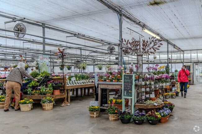 Country Flower Farms is one of the state’s largest garden centers in Middlefield, CT.