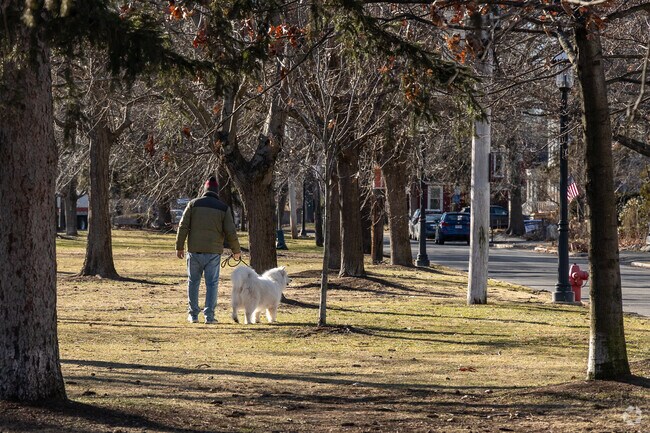 Washington Park offers a nice area to walk just off the busy streets of Newtonville.