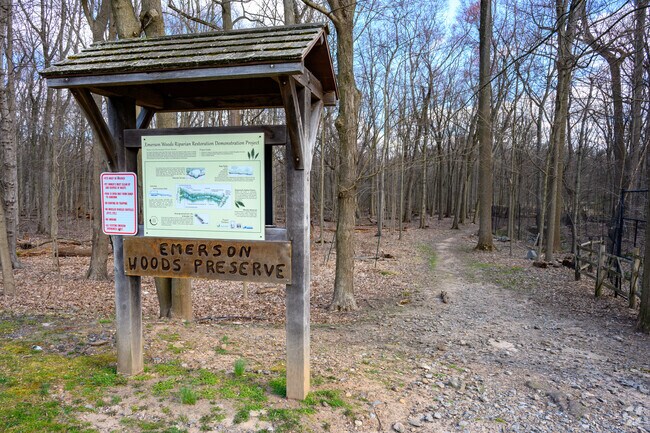 Emerson Woods Preserve offers 19 acres to explore.