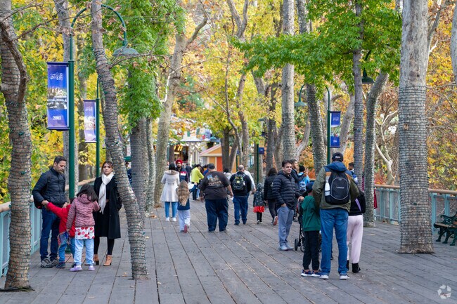 Discover the unique beauty of the famous Circus Trees at Gilroy Gardens.