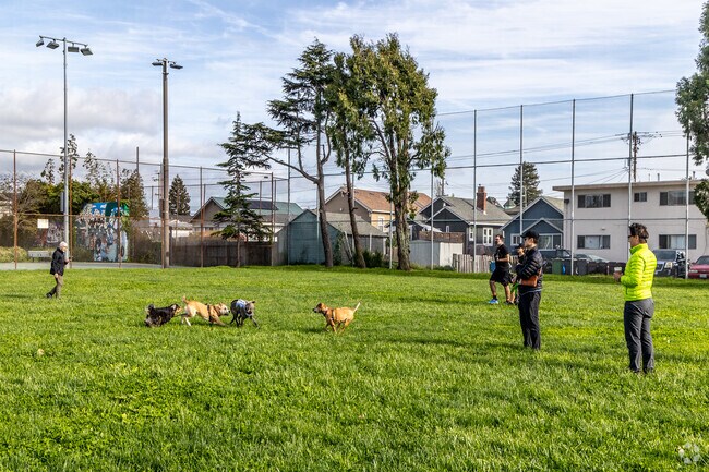 Robert Mason Field in Paradise Park is a hit with local dog owners and baseball enthusiasts.