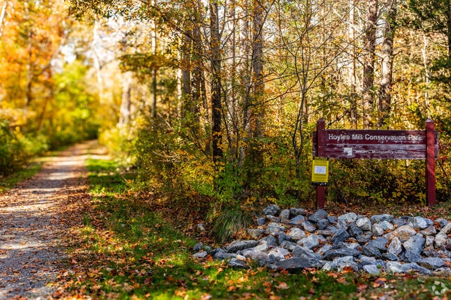 Discover nature's hidden gems along the trails at Hoyles Mill Conservation Park in Boyds.