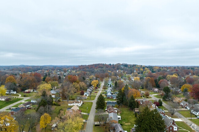 Aerial view of homes along a tree-filled Reedurban neighborhood.