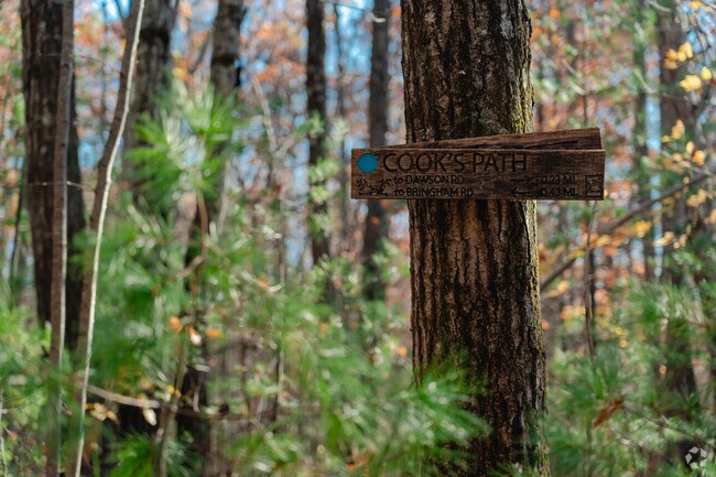 Cook’s Path is the longer trail that takes you hiking deeper through Cook’s Woods.