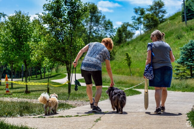 Bring your "fur children" to Soldan Dog Park in Hawk Island Park in Forest View.