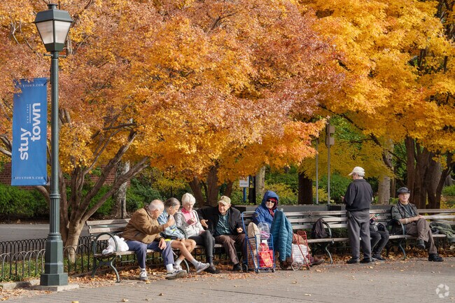 StuyTown pathways in Stuyvesant provide shaded spots for residents.