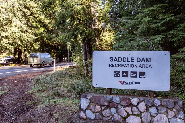 Mount St. Helens towers over Saddle Dam Park.