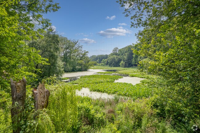 Residents of Woods Pond come to Woods Pond Park to enjoy the view of the pond and wooded areas.