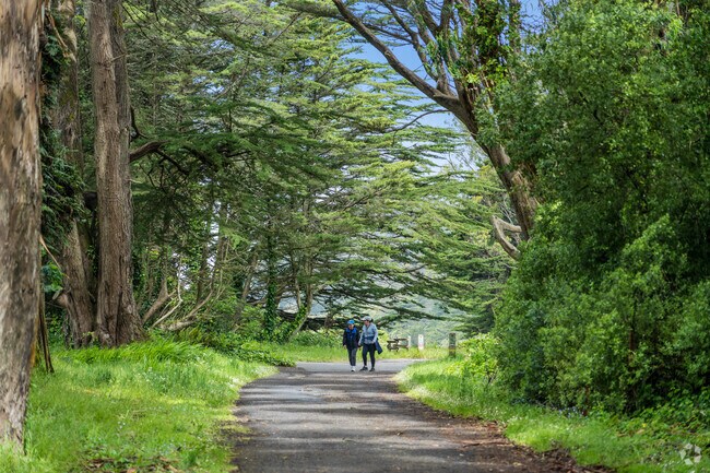 Visitors hike through the forested paths, experiencing tranquility.