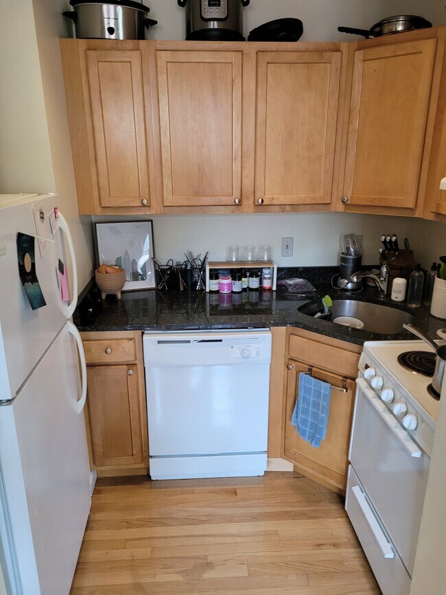 26 Fenway unit 5, Boston, MA 02215 - photo 6