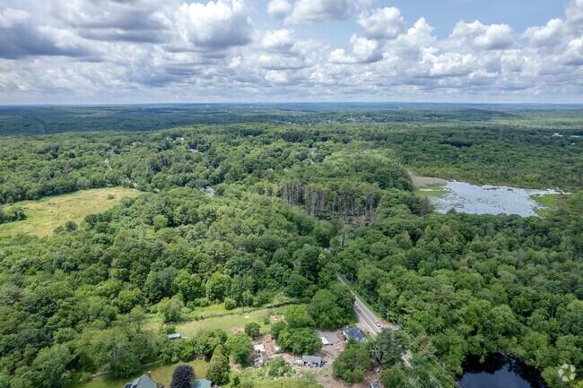 Forests are an aspect of  the Sheldonville neighborhood and some are conservation lands.