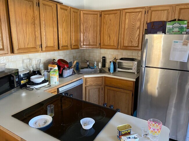 24 Saint Cyprians Place unit 1, Roxbury Crossing, MA 02120 - photo 2