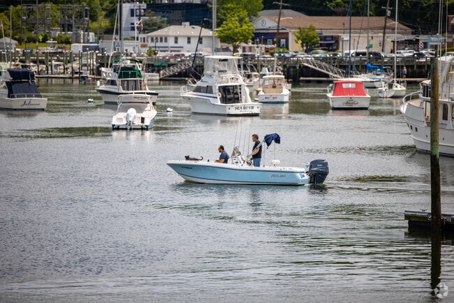 Looks like Fido is having a great day on the water in Huntington Bay.